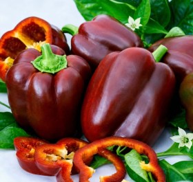 Zvezda Vostoka Sokoladnaja paprika - édespaprika